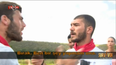 tv8.png